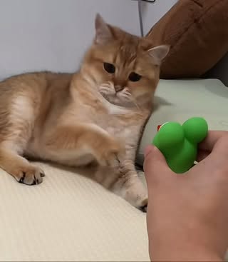 不要！