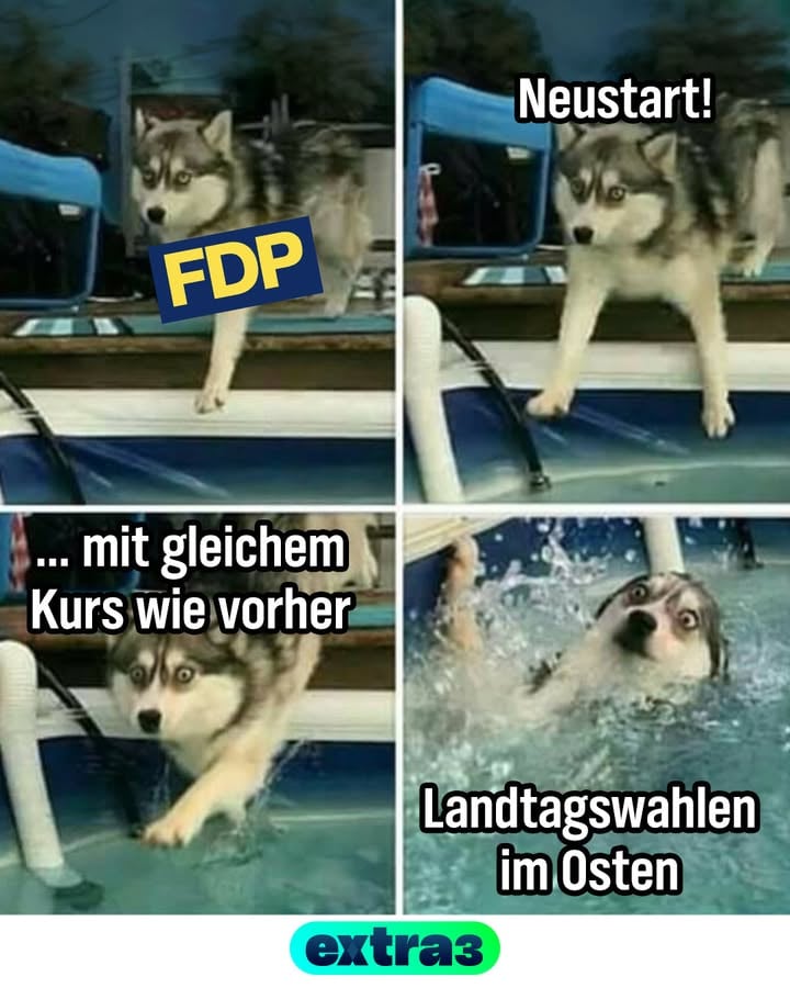 Die FDP möchte wieder Anlauf nehmen! Und wir vermissen sie auch als Satiremarke! Der frische Wind bei der FDP heißt jetzt Wolfgang Kubicki, ist 74 Jahre alt  und wurde mit überzeugten 60% zum neuen Parteivorsitzenden gewählt. Zuerst ohne Konkurrenz angetreten, hat ihm die Überraschungsgegenkandidatin Strack-Zimmermann noch einiges an Stimmen geklaut und damit die Zerrissenheit innerhalb der FDP aufgezeigt. Mensch, dabei wirkte die FDP so einig in den letzten Jahren! Aber Kubicki steht ja auch für einen ganz neuen Kurs, der im wesentlichen lautet: "so ähnlich wie vorher, nur noch deutlicher und ohne sowas wie in der Ampelkoalition". Gut, der letzte Punkt war akut eh keine Gefahr, denn für eine Koalition muss man in einem Parlament sein. Überlegt man schon, ob eine noch wirtschaftsorientiertere Ausrichtung so viele neue Wähler*innen an den Start bringt... Kubicki sagte gestern selber, so viele Milliardäre gibt es hier ja eigentlich gar nicht! ... Für ihn ein Argument gegen eine Vermögenssteuer. #fdp #kubicki #satire #extra3
.
.
.
Aufgrund des hohen Aufwands behalten wir uns vor, die Kommentare nach einer gewissen Zeit zu deaktivieren