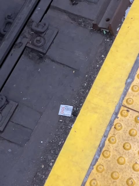 Things on the tracks #subwaycreatures