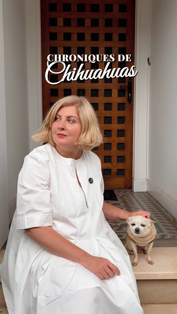 Quand on est un chihuahua, il y a deux façons de gérer ses ennemis : aboyer pendant vingt minutes à travers une clôture… ou leur faire comprendre qu’ils ne méritent même pas un regard.
J’essaie d’enseigner la deuxième option à Neige.
Pour l’instant, elle préfère la première.
Mais je garde espoir. Après tout, les grandes leçons de vie demandent du temps. Et les guerres de voisinage aussi 😜❤️
Et vous là, on vous embrasse !
Elisa