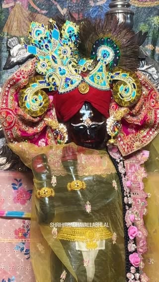मंगला आरती दर्शन - 01/06/26 🌼

 ठाo श्रीहित राधावल्लभ लाल जू मंदिर वृन्दावन ।
*श्री जी मंदिर से संबंधित जानकारी व सेवाओं को श्री जी के चरणों में निवेदन करने हेतु संपर्क करे* !!
संपर्क सूत्र - 8168100515
.
गोस्वामी श्री हित निमिष जी महाराज (जय जय)
श्री हित राधावल्लभ लाल मंदिर, वृंदावन 
.
श्री राधावल्लभ लाल  जी मंदिर से जुड़े !! 
@shrihitradhavallabhlal

Shri Radhavallabh Lal ji Vrindavan 

#vrindavan #shriharivansh #radheradhe #nimish_goswami  #shrihitradhaballabhlal