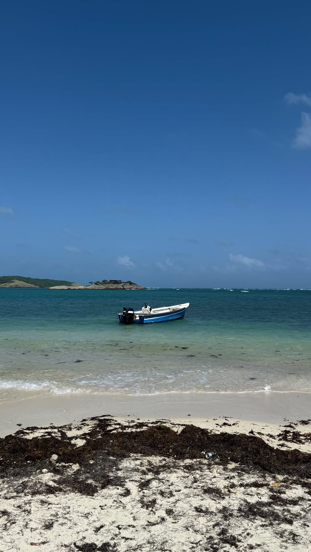 Être une vraie Caribbean baddie book pro m5 : L’éducation alimentaire catastrophique aux Antilles (le légume péyi c’est un féculent pas un légume 🥬 🍆 )

#alimentation #antilles #health #sport #baddie