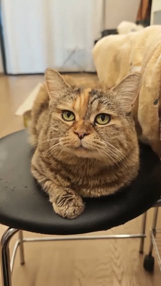 How can you feed me only three meals a day?