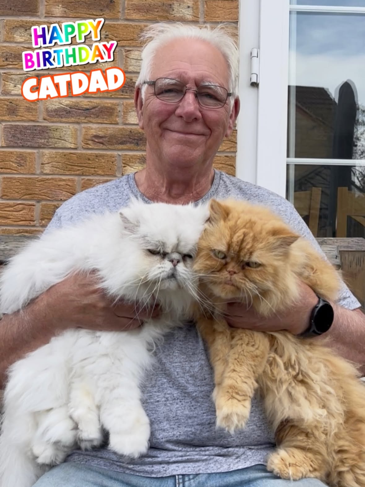 It’s Catdad’s birthday today & as you can see, Teddie & Casper are very excited about it 🎉🎂🎁

#happybirthdaycatdad #happybirthday #catdad #letscelebrate #cats_of_instagram