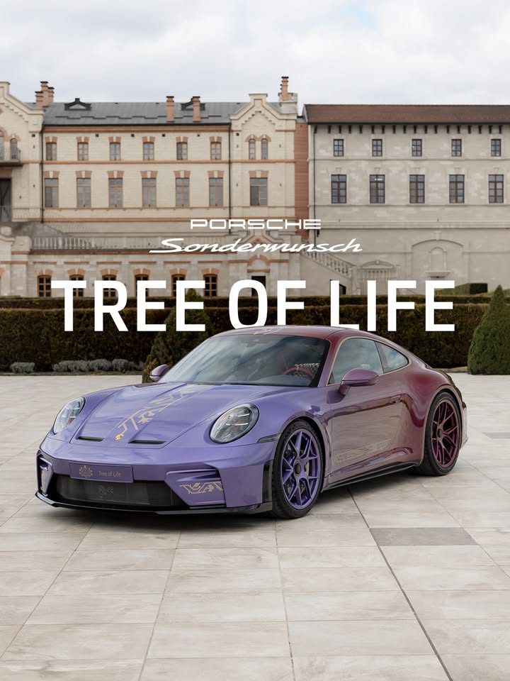 Shaped by Moldovan tradition.

Through Porsche Sonderwunsch, ”Tree of Life“ interprets Moldova’s national symbol across the 911 GT3 with Touring Package, using colour, texture and craftsmanship to represent family, tradition and cultural identity in every detail.
__
911 GT3 with Touring Package (WLTP): Fuel consumption combined: 13.8 – 13.7 l/100 km; CO₂ emissions combined: 312-310 g/km; CO₂ class: G; Status 06/2026