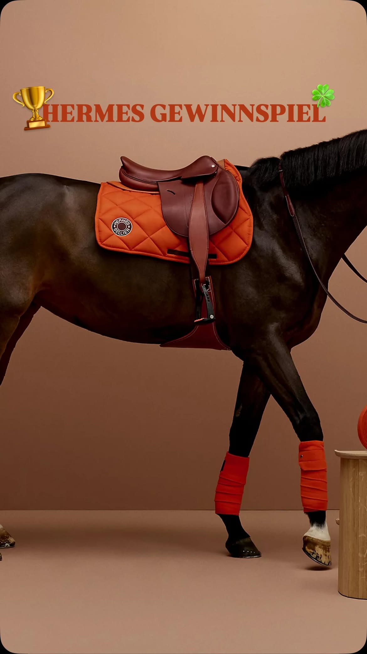 𝗚𝗘𝗪𝗜𝗡𝗡𝗦𝗣𝗜𝗘𝗟 🤩 ᵂᴱᴿᴮᵁᴺᴳ
Wir verlosen eine der begehrten Hermès-Schabracken im Wert von 540 €! 🐴✨

Und das Beste: Der Gewinner bzw. die Gewinnerin kann sich die Schabracke frei aussuchen - du wählst aus, wir bezahlen!

𝗦𝗼 𝗸𝗼̈𝗻𝗻𝘁 𝗶𝗵𝗿 𝘁𝗲𝗶𝗹𝗻𝗲𝗵𝗺𝗲𝗻:
1️⃣ Folge uns: @sophianinette.official und @patrickheckl
2️⃣ Like dieses Reel und markiere 2 Freund:innen 💖
(Mehrfache Teilnahmen sind möglich – markiere dafür jedes Mal neue Freund:innen!)

𝗘𝘅𝘁𝗿𝗮𝗹𝗼𝘀:
Wir freuen uns, wenn du das Gewinnspiel in deiner Story teilst! 📲

Viel Glück! 🍀

Das Gewinnspiel endet am 12.06.2026. Der/die Gewinner:in wird aus allen Teilnehmer:innen per Losverfahren ermittelt und bis spätestens 13.06.2026 informiert sowie bekannt gegeben.
Teilnehmer:innen unter 18 Jahren benötigen das Einverständnis ihrer Eltern.
Eine Barauszahlung des Gewinns ist nicht möglich. Das Gewinnspiel steht in keinem Zusammenhang mit Instagram oder Facebook und wird von uns selbst veranstaltet und finanziert. Die Daten des Gewinners bzw. der Gewinnerin werden ausschließlich zur Abwicklung des Gewinnspiels erhoben und nach Abschluss der Abwicklung gelöscht. ❤️