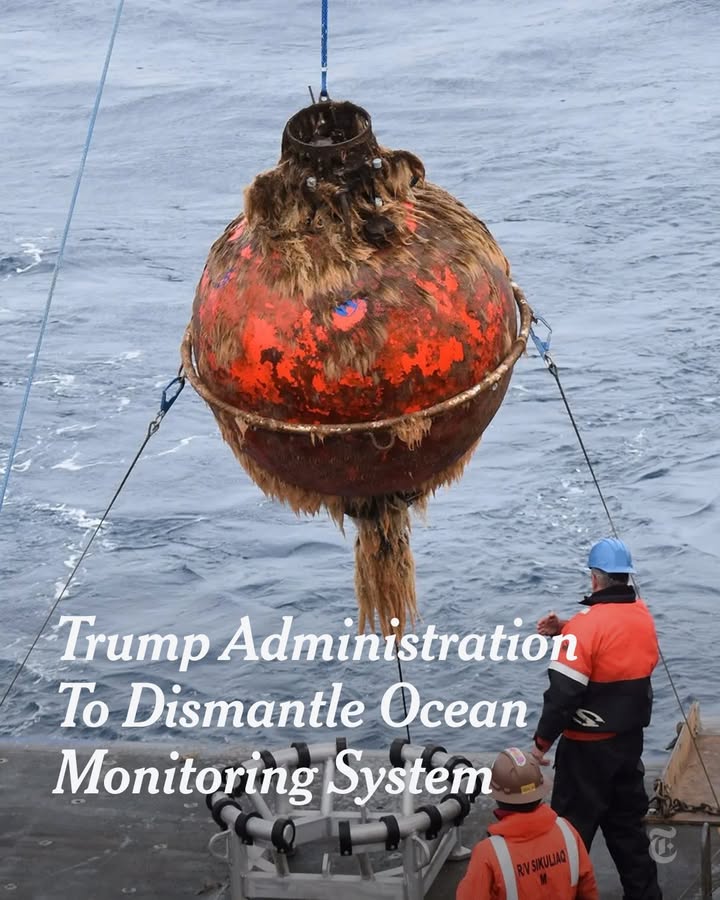 The Trump administration is dismantling a $368 million deep-ocean observation system that was put in place a decade ago to monitor coastal environments, marine ecosystems and powerful currents that affect the global climate. 

Scientists have used data from the system to understand how the ocean is absorbing greenhouse gases from the atmosphere, how changes in ocean temperature such as marine heat waves might affect fisheries or signal bigger shifts in the climate, and coastal flooding along the East Coast.

At the link in our bio, read more about researchers’ thoughts on the initiative and the implications. Photo by Rebecca Travis/WHOI