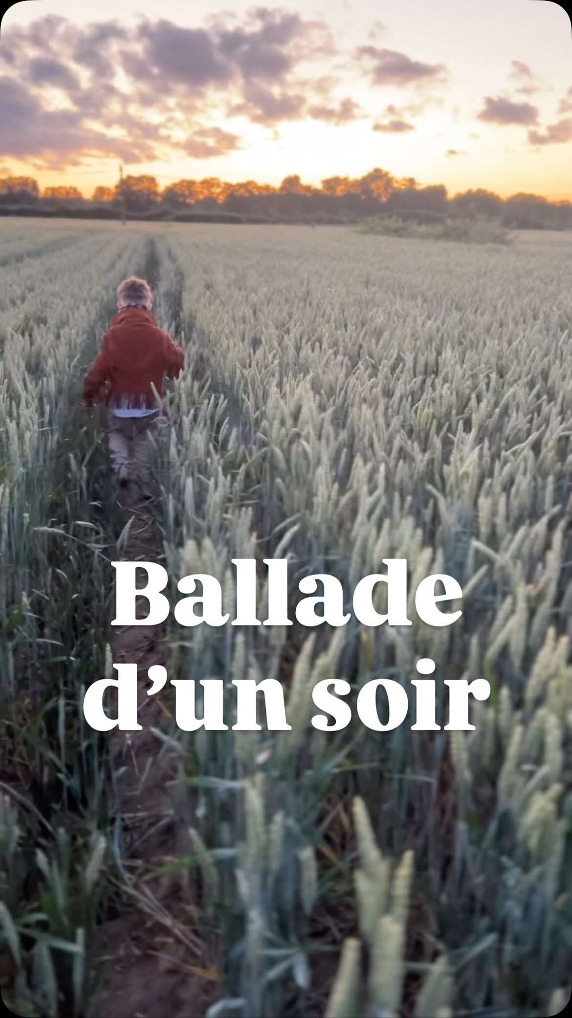 Cet enfant se couche beaucoup trop tard.

Souvent.

Le mardi soir, systématiquement.

Le coucher, c’est l’arracher à ses aventures, à ses jeux de rôle auxquels il croit tant.

Et le mardi soir, la discipline nous manque.

Hier soir, appelés par le vent chaud, nous nous sommes un peu perdus.

Aucun des animaux n’a su nous indiquer notre chemin. Ni les vaches, ni les ânes, ni les chevaux. Encore moins les lièvres et les chevreuils qui détalaient.

Hier soir, beaucoup trop tard, nous sommes rentrés.