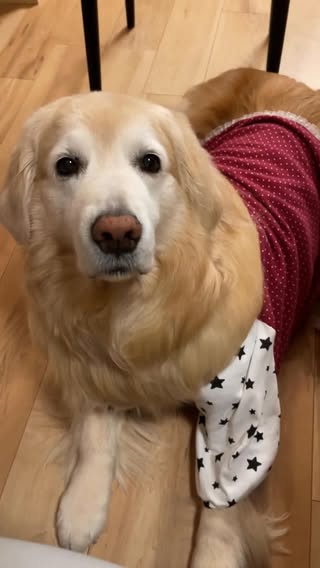。
。
今月のあー様😂
見つけて来ました🤣🙏
。
6月も宜しくお願いします🙇‍♀️
。
いつもいつもストーリーズありがとうございます🙏✨

#さすがの破壊力