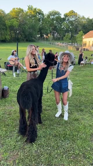 First time at CMA Fest! We had to do this trend🤣tag who you see!! 
•
•
#trending #cmafest