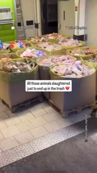 Okay but this is wild 😳

Society be slaughtering animals just to throw them in the trash 🗑️😭

🎥 Video from @food_waste_inspector_