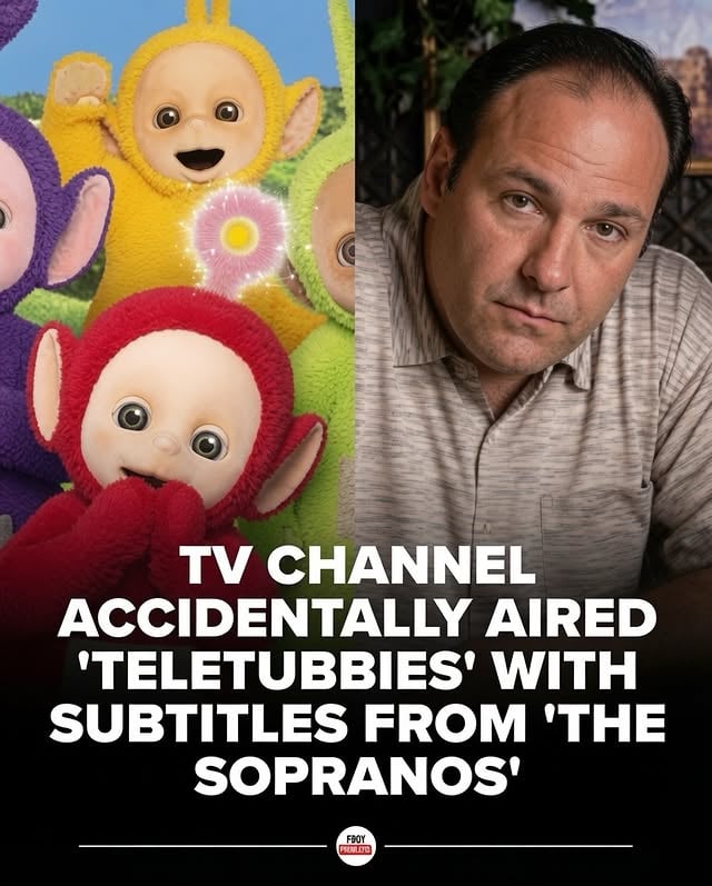 In October 2012, the Icelandic television station Stöð 2 produced one of the strangest broadcast glitches in TV history. During a morning airing of the gentle children’s show Teletubbies, a technical error overlaid the wrong subtitles onto the screen, pulling dialogue from the gritty HBO mob drama The Sopranos.