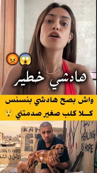 ✅
واش بصح دارها 😯 قصة بانش - القرد الصغير لي لمس قلوب الناس 💔
في Ichikawan City on في اليابان تصدّر قرد مكاك صغير اسمه
“بانش " (Punch) مواقع التواصل الاجتماعي والأخبار، وبدا ترند عالمي
في السوشيال ميديا 
🍼 منين جات القصة
• بانش اتولد في يوليو 2025 في الحديقة، ولكن أمه هجرته بعد ما تولد
وما بقاتش تهتم به - حاجة نادرة لأن القرود عادة كيعتنيو بزاف بالصغار
ديالهم.
• الرعاة في الحديقة خذوه وتربّوه بيدهم وكانو كيعطيوه تغذية ومتابعة
طويلة باش يكبر ويكون صحي. os
🧸 دمية بديلة للأم
باش يحسو القرد الصغير بالأمان، عطاوه دمية محشوة تشبه قرد كبير)
وهادي كانت اللي اختارها بانش ويشدها معاه في كل مكان.
. تشوفوه ،كيحتضنها ينام معاها ويلعب بيها - بحال إلى هي
البديلة ".

"أمه
• الفيديوهات ديالو وهو متشبث بالدمية بقات تنتاشر بزاف بزاف على
الإنترنت، والناس تعاطفو معاه بزاف. 
🙍🏻‍♀️ رد فعل الناس
• القصة ديال بانش لامست قلوب الناس في العالم كامل، وكثار اللي عبّرو
عن حزنه وتمناو له حياة سعيدة وتكامل مع القردة الآخرين oes
. بعض الصور والفيديوهات وصلو لملايين المشاهدات ومعاهم زاد الإقبا
على زيارة الحديقة باش يشوفوه شخصيا.