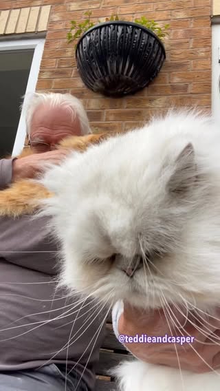 I (catmum 🙋🏻‍♀️) tried to get the boys to sing ‘Happy Birthday’ to catdad. Teddie was having none of it but Casper had a go 😂
.
Happy Wednesday efurrypawdy 🧡🤍
.
.
#birthdayboy #happybirthday #catdad #meow #catmom