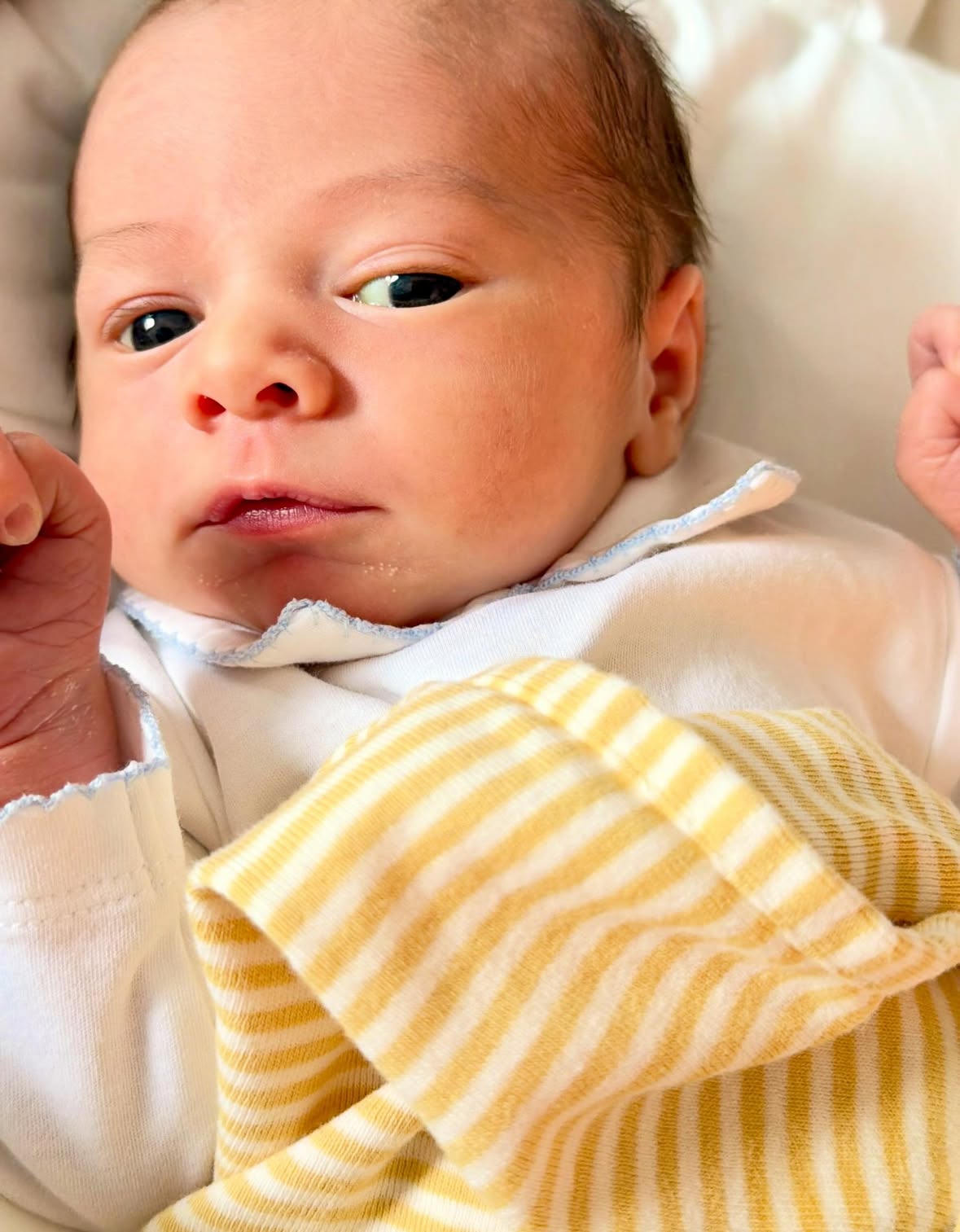 Welcome to the world beautiful boy! William Prescott was born earlier this month and I’ve done nothing but hold him since the minute he was born 🩵 His brother and sister couldn’t love him more.