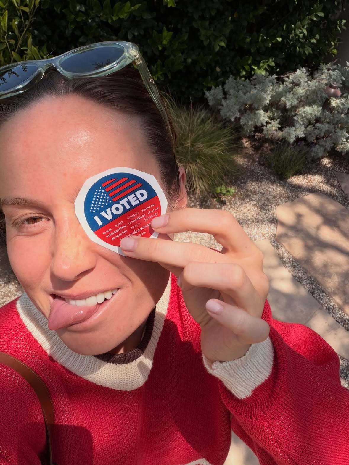 🗳️