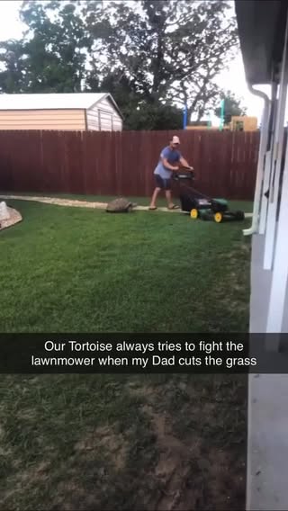 He’s going to mess that thing up when he finally catches it