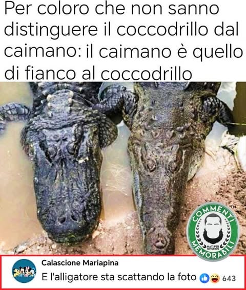 Ogni tot è sempre bene fare un utilissimo ripasso. #differenze #evergreen #commentimemorabili