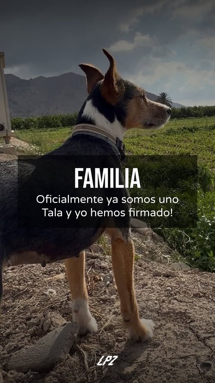 Somos familia!

Ayer, cuando fui a recoger a Tala después de la cirugía de esterilización firmé oficialmente la adopción.

#tala #adopcion #perrito #perro #talaaventuras