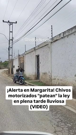 ​Usuarios de nuestras redes nos hicieron llegar un video que ha encendido las alarmas de la "seguridad vial animal" en Margarita.

En las impactantes imágenes, se puede apreciar a dos peligrosos chivos motorizados que, sin ningún tipo de pudor ni respeto por las normas de tránsito, decidieron tomar una moto scooter como si fuera su nuevo juguete. Un tercer involucrado huyó rápidamente del lugar y evitó ser registrado en imágenes. 

​El video, grabado en lo que parece ser una zona residencial, muestra cómo los dos ejemplares, uno completamente marrón y otro marrón con una mancha blanca, se subieron a la moto sin casco ni licencia de conducir. ¡El colmo de la impudicia!

​Aclaración importante: No, no hemos perdido la cabeza. Esta nota informativa es puro humor para alegrar un poco esta tarde que se presenta lluviosa y gris en nuestra hermosa Margarita. ¡A reír un rato que el mundo no se acaba!

#RedRecNoticias #Noticias #Venezuela #Margarita #Humor