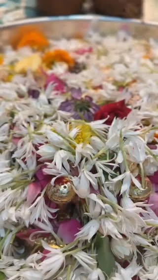 ०३/०६/२०२६ श्री महालक्ष्मी मंदिर  मुंबई🌹