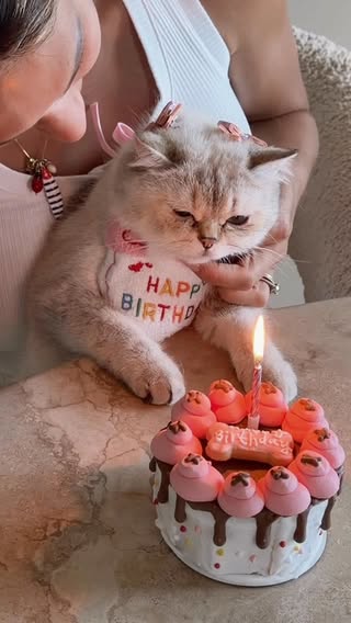 29 maggio: noi ci siamo sposati e Nuvola è venuta al mondo. 🥹🤍 🐈 
Lo abbiamo scoperto un’ora dopo averla adottata. Da quel momento ha conquistato tutti, soprattutto il papà che ripeteva ‘io non voglio gatti’. Adesso, ovviamente, è lei che comanda casa. 😹🐾 
#happybirthday #cat