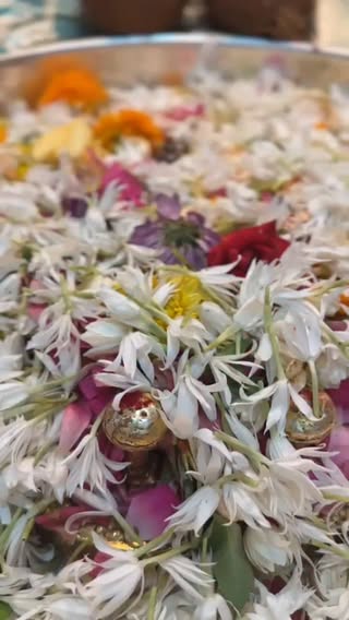 ०४/०६/२०२६ shri mahalakshmi mandir mumbai