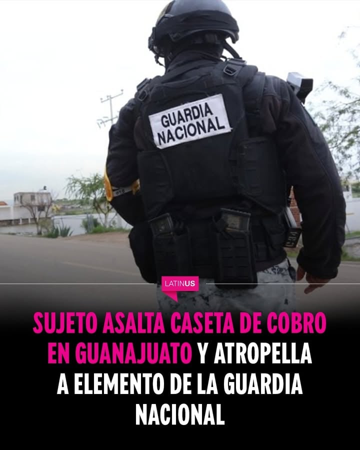 Un hombre que conducía un taxi atropelló a un elemento de la Guardia Nacional tras asaltar y darse a la fuga en la caseta de cobro del Libramiento Norte, a la altura de la comunidad de Plancarte, en Celaya.
A través de un video se observa cómo el taxista llega a la caseta de cobro y baja del vehículo con lo que parece ser un arma para presuntamente apoderarse de dinero y después escapar.
Lee la nota completa en el link de nuestra bio.
#Latinus #InformaciónParaTi